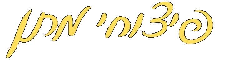 כיתוב לוגו פיצוחי מתן